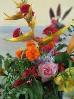 IMG-20181219-WA0040