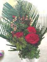IMG-20181219-WA0055